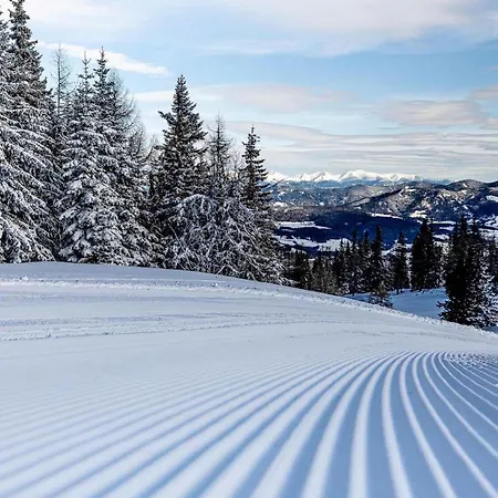 Grebenzen 49b * ザンクト・ランブレヒット